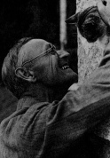 Hesse&Cat