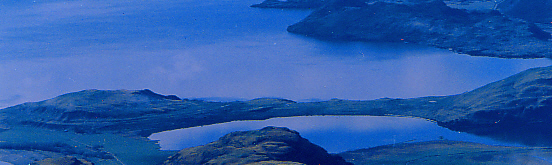 NewZealand_1