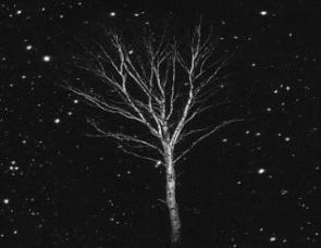 Night Photo