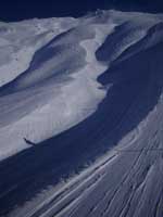 SnowScene